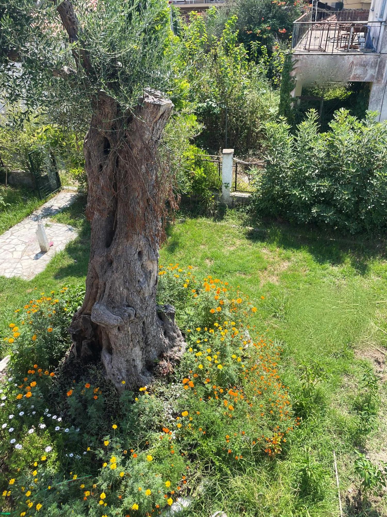 Aurelia Seaside Apartment Kávosz Kültér fotó